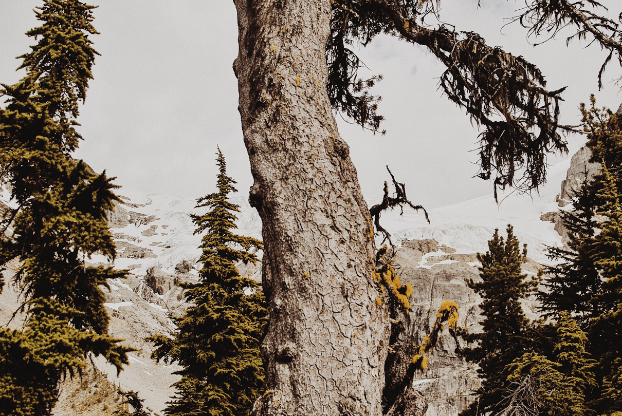 Joffre Lakes Provincial Park